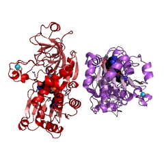 Estrutura de exemplo da L-arabinitol 4-desidrogenase CE #: 1.1.1.12