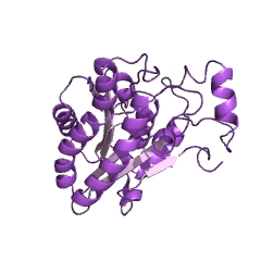 Example Structure of 2-deoxy-D-gluconate 3-dehydrogenase EC#: 1.1.1.125