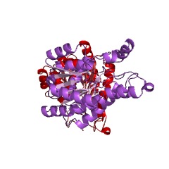 Example Structure of 2-dehydro-3-deoxy-D-gluconate 6-dehydrogenase EC#: 1.1.1.126