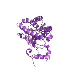Example Structure of 2-dehydro-3-deoxy-D-gluconate 5-dehydrogenase EC#: 1.1.1.127