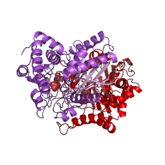 Example Structure of 3-dehydro-L-gulonate 2-dehydrogenase EC#: 1.1.1.130