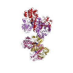 Example Structure of GDP-mannose 6-dehydrogenase EC#: 1.1.1.132