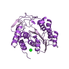 Example Structure of dTDP-4-dehydrorhamnose reductase EC#: 1.1.1.133