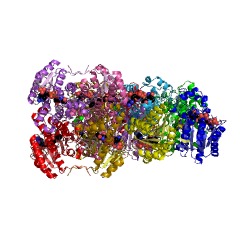 Example Structure of mannitol 2-dehydrogenase (NADP+) EC#: 1.1.1.138