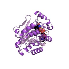 Example Structure of 15-hydroxyprostaglandin dehydrogenase (NAD+) EC#: 1.1.1.141