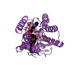 Example Structure of sepiapterin reductase (L-erythro-7,8-dihydrobiopterin forming) EC#: 1.1.1.153