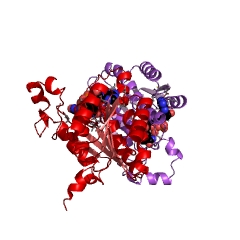 Example Structure of 7alpha-hydroxysteroid dehydrogenase EC#: 1.1.1.159