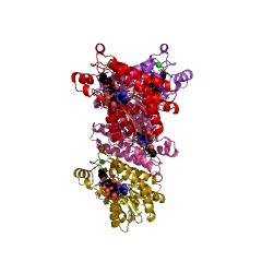 Example Structure of galactitol 2-dehydrogenase EC#: 1.1.1.16