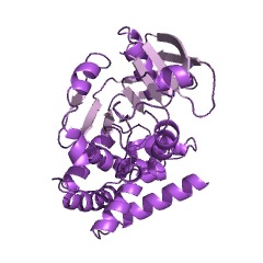 Example Structure of 2-dehydropantoate 2-reductase EC#: 1.1.1.169
