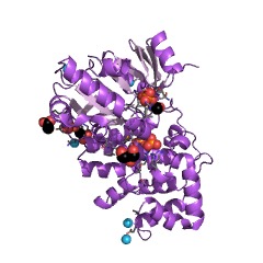 Example Structure of mannitol-1-phosphate 5-dehydrogenase EC#: 1.1.1.17