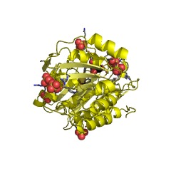Example Structure of D-xylose 1-dehydrogenase (NADP+) EC#: 1.1.1.179