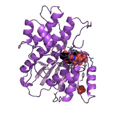 Example Structure of prostaglandin-E2 9-reductase EC#: 1.1.1.189