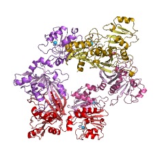 Example Structure of 5-amino-6-(5-phosphoribosylamino)uracil reductase EC#: 1.1.1.193