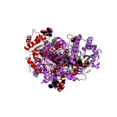 Example Structure of coniferyl-alcohol dehydrogenase EC#: 1.1.1.194