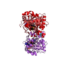 Example Structure of cinnamyl-alcohol dehydrogenase EC#: 1.1.1.195