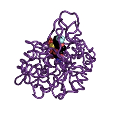 Estructura de ejemplo de alcohol deshidrogenasa (NADP +) EC #: 1.1.1.2