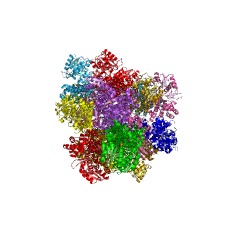 Example Structure of 1,3-propanediol dehydrogenase EC#: 1.1.1.202