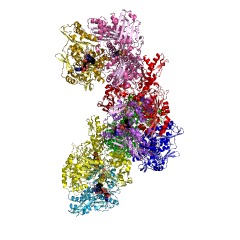 Example Structure of xanthine dehydrogenase EC#: 1.1.1.204