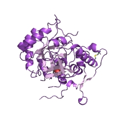 Example Structure of IMP dehydrogenase EC#: 1.1.1.205