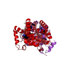 Example Structure of tropinone reductase I EC#: 1.1.1.206