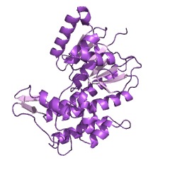 Example Structure of (+)-neomenthol dehydrogenase EC#: 1.1.1.208