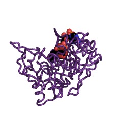 Exemple de structure de l'aldéhyde réductase EC #: 1.1.1.21