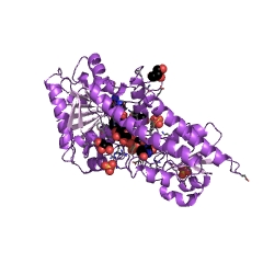 Estructura de ejemplo de UDP-glucosa 6-deshidrogenasa EC #: 1.1.1.22