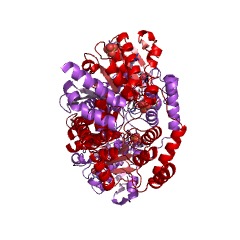 Example Structure of histidinol dehydrogenase EC#: 1.1.1.23