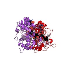Example Structure of 3alpha(17beta)-hydroxysteroid dehydrogenase (NAD+) EC#: 1.1.1.239