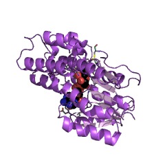 Example Structure of salutaridine reductase (NADPH) EC#: 1.1.1.248