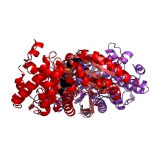 Example Structure of shikimate dehydrogenase EC#: 1.1.1.25