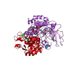 Example Structure of galactitol-1-phosphate 5-dehydrogenase EC#: 1.1.1.251