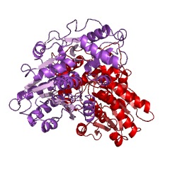 Example Structure of 3-methylbutanal reductase EC#: 1.1.1.265
