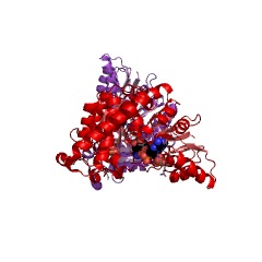 Example Structure of 1-deoxy-D-xylulose-5-phosphate reductoisomerase EC#: 1.1.1.267