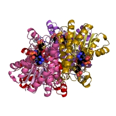 Example Structure of 2-(R)-hydroxypropyl-CoM dehydrogenase EC#: 1.1.1.268