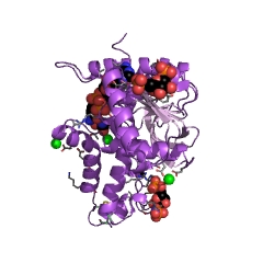 Example Structure of L-lactate dehydrogenase EC#: 1.1.1.27