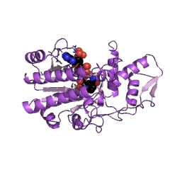 Example Structure of GDP-L-fucose synthase EC#: 1.1.1.271
