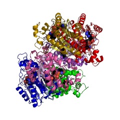 Example Structure of (+)-trans-carveol dehydrogenase EC#: 1.1.1.275