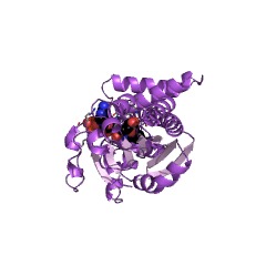 Example Structure of serine 3-dehydrogenase (NADP+) EC#: 1.1.1.276
