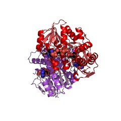 Example Structure of GDP-4-dehydro-6-deoxy-D-mannose reductase EC#: 1.1.1.281