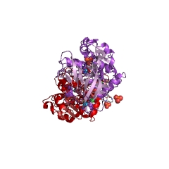 Example Structure of S-(hydroxymethyl)glutathione dehydrogenase EC#: 1.1.1.284