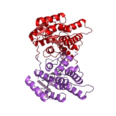 Example Structure of sorbose reductase EC#: 1.1.1.289