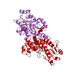 Example Structure of glycerate dehydrogenase EC#: 1.1.1.29