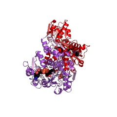 Example Structure of 4-phosphoerythronate dehydrogenase EC#: 1.1.1.290