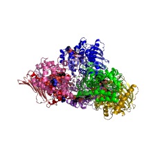 Example Structure of 1,5-anhydro-D-fructose reductase (1,5-anhydro-D-mannitol-forming) EC#: 1.1.1.292