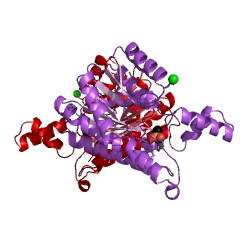Example Structure of 3-hydroxybutyrate dehydrogenase EC#: 1.1.1.30