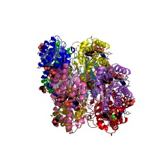 Example Structure of diacetyl reductase [(S)-acetoin forming] EC#: 1.1.1.304