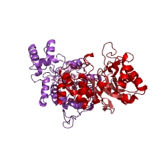 Example Structure of D-xylose reductase EC#: 1.1.1.307