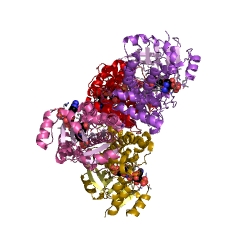 Example Structure of 3-hydroxyisobutyrate dehydrogenase EC#: 1.1.1.31