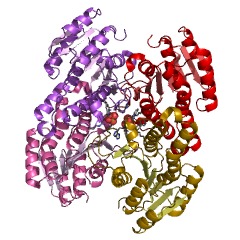 Example Structure of (S)-1-phenylethanol dehydrogenase EC#: 1.1.1.311